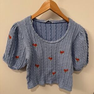 Zara Blue Knit Crop Top with Floral Embroidery